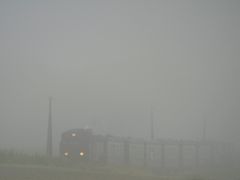 Kleinbahn im Nebel