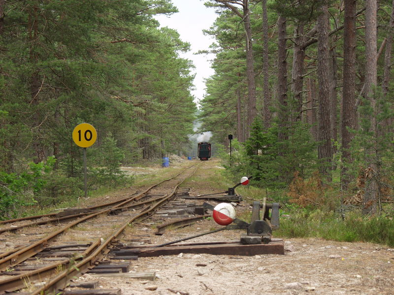 Kleinbahndamm in Schweden im Wald