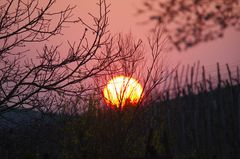 Kleinbottwar Richtung Ingersheim