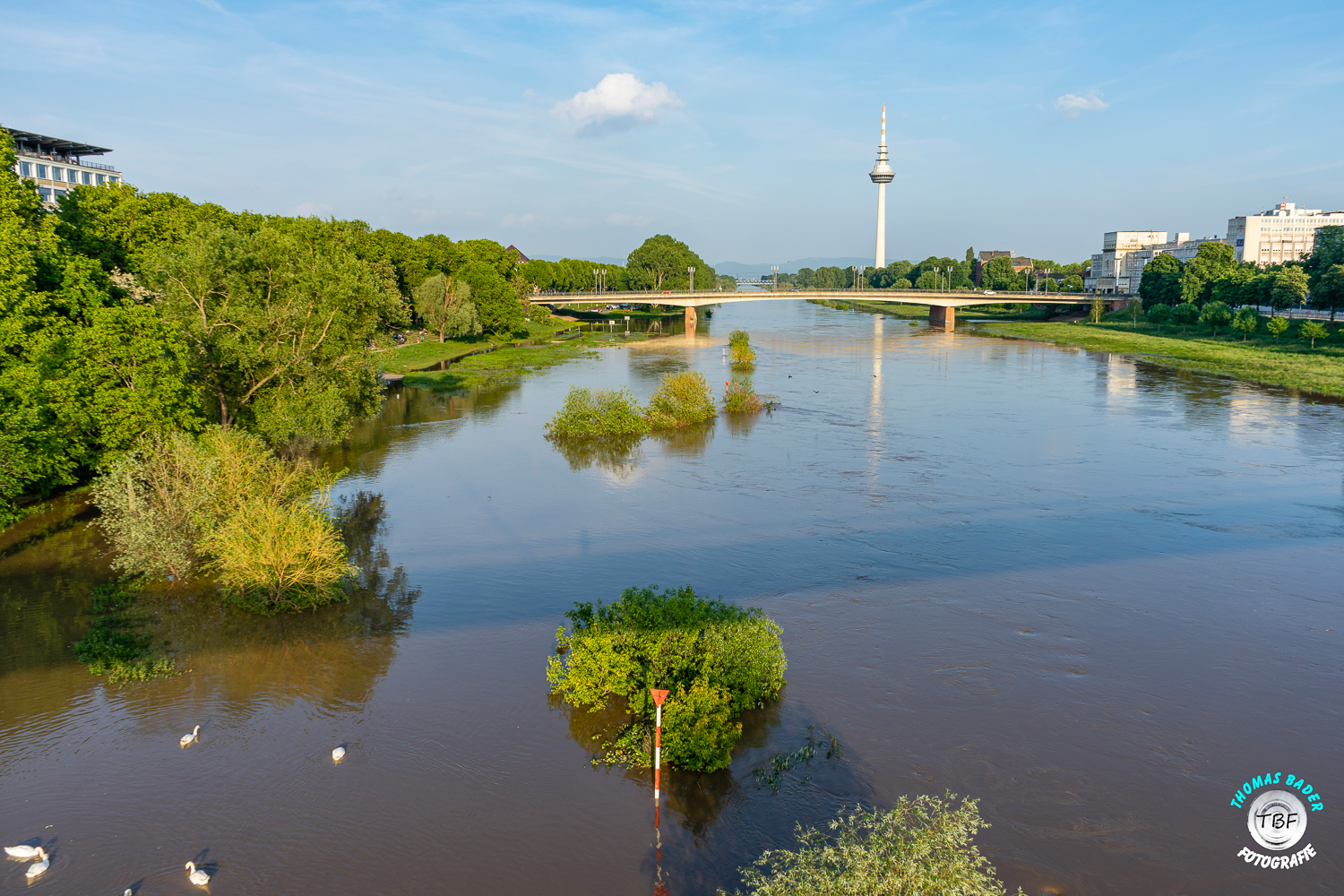 Kleine. Foto & Bild | deutschland, europe, baden- württemberg