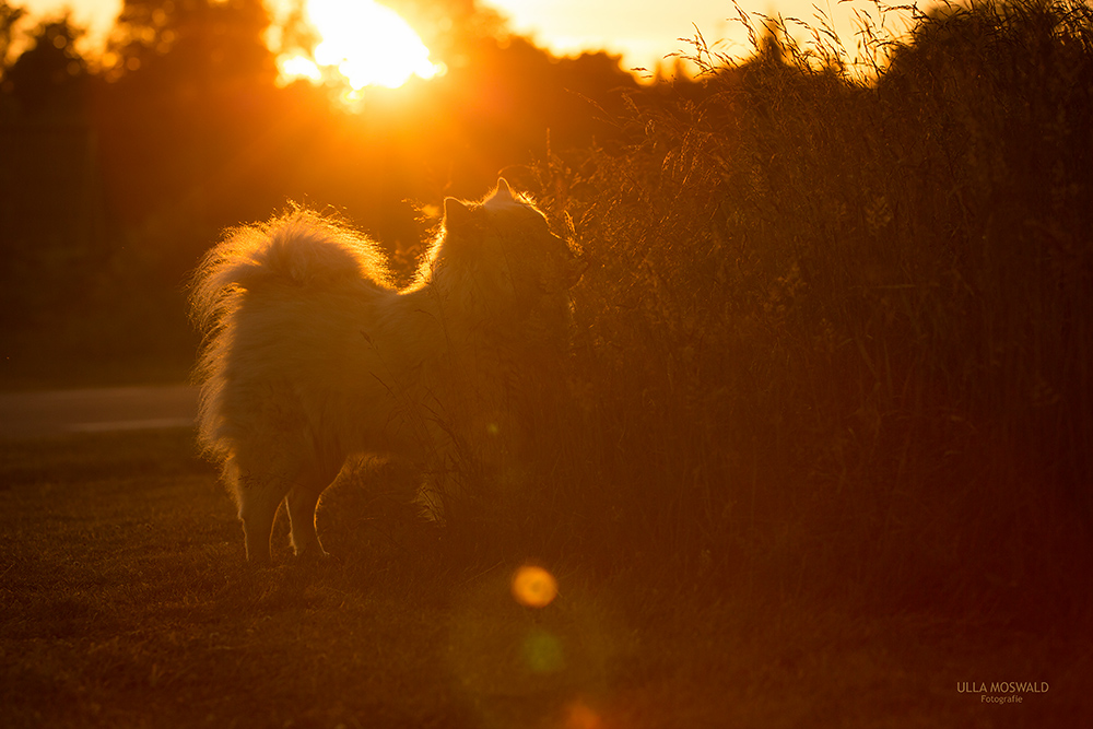 ...kleine Abendrunde...