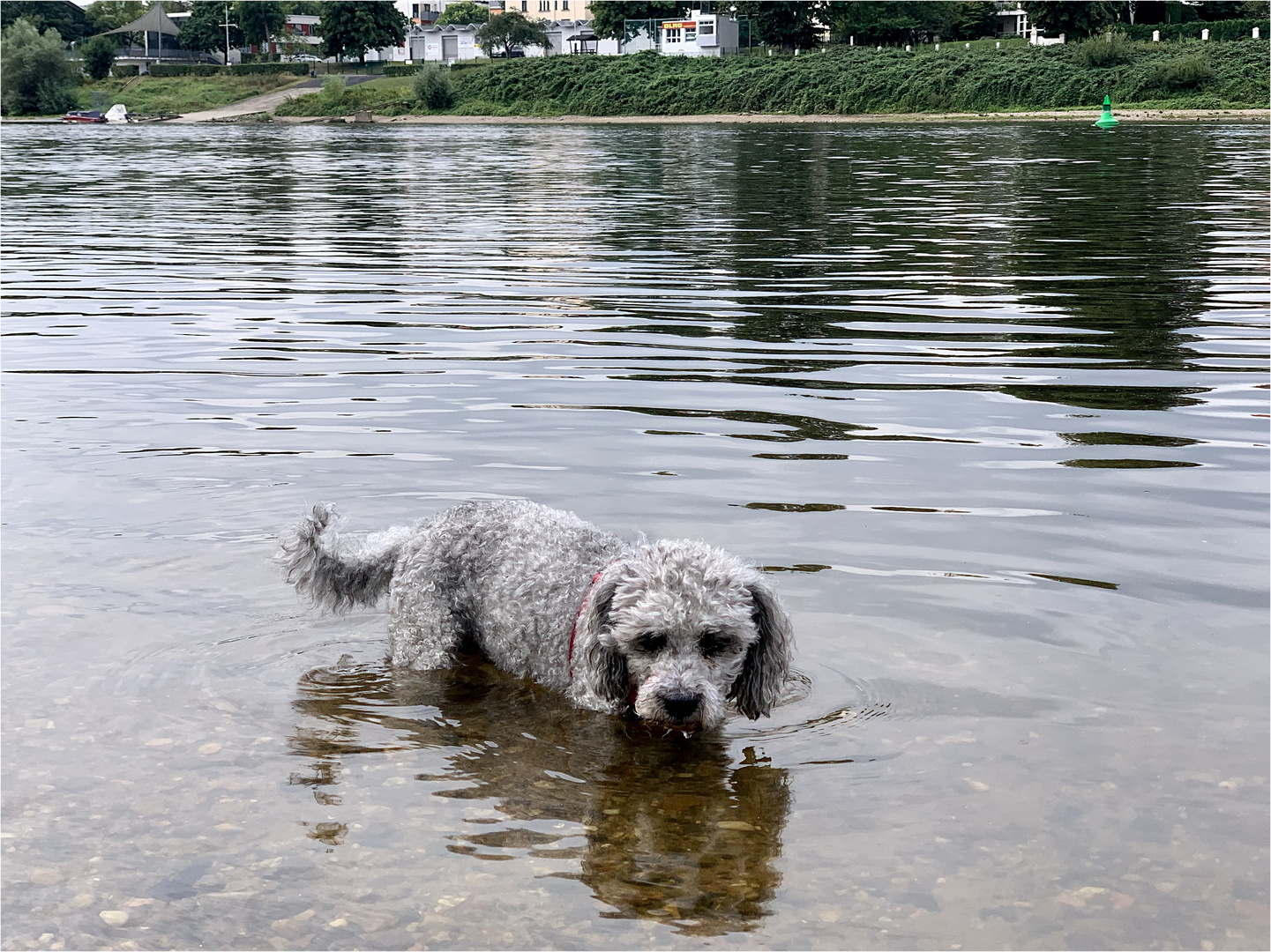 kleine Abkühlung - Hundstage