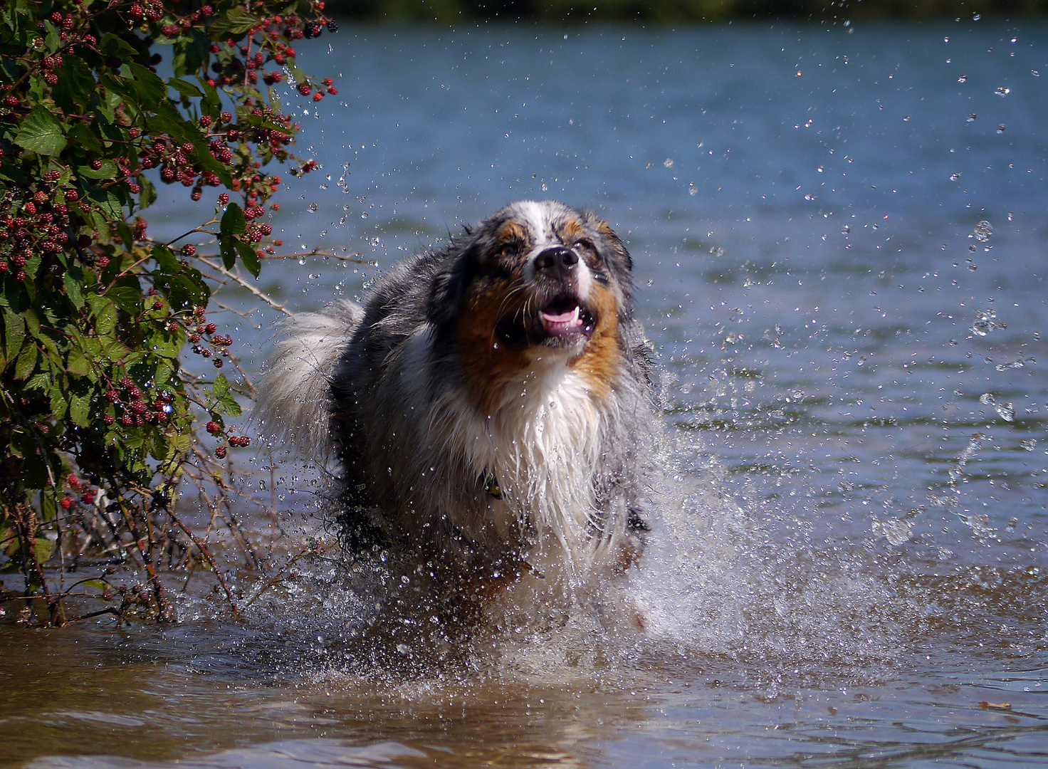 Kleine Abkühlung im Reindersmeer im Sommer 2015