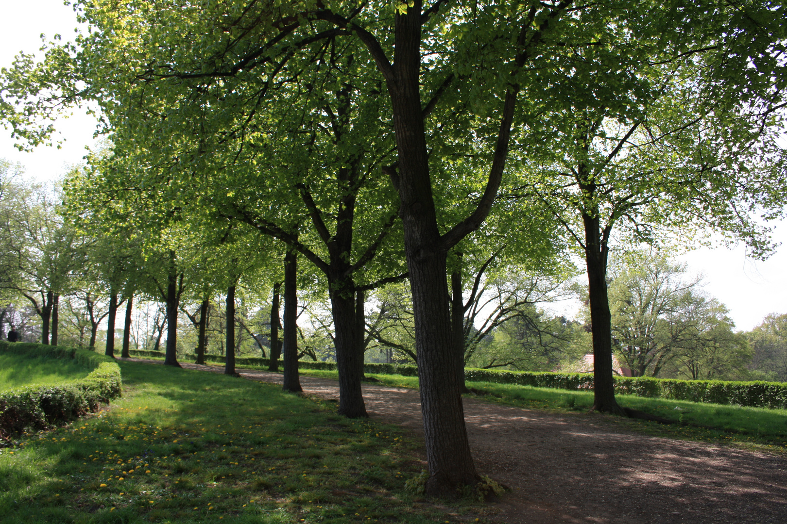 Kleine Allee am Völkerschlachtdenkmal in Leipzig