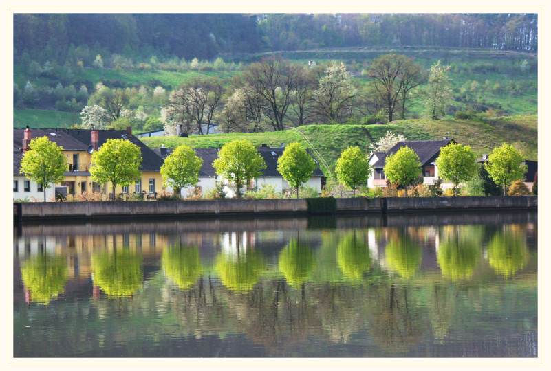  Kleine Allee an der Saar ....