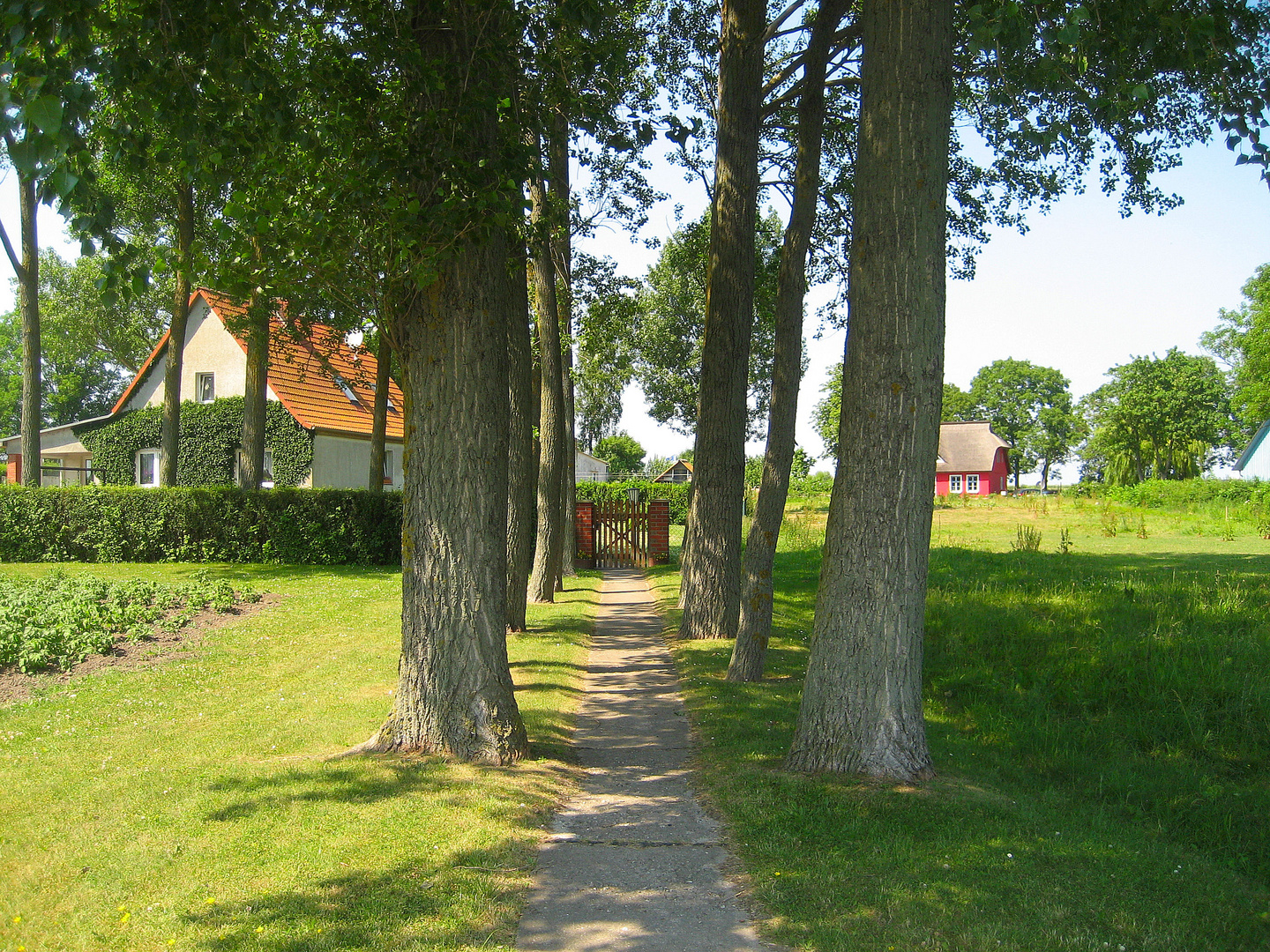 Kleine Allee