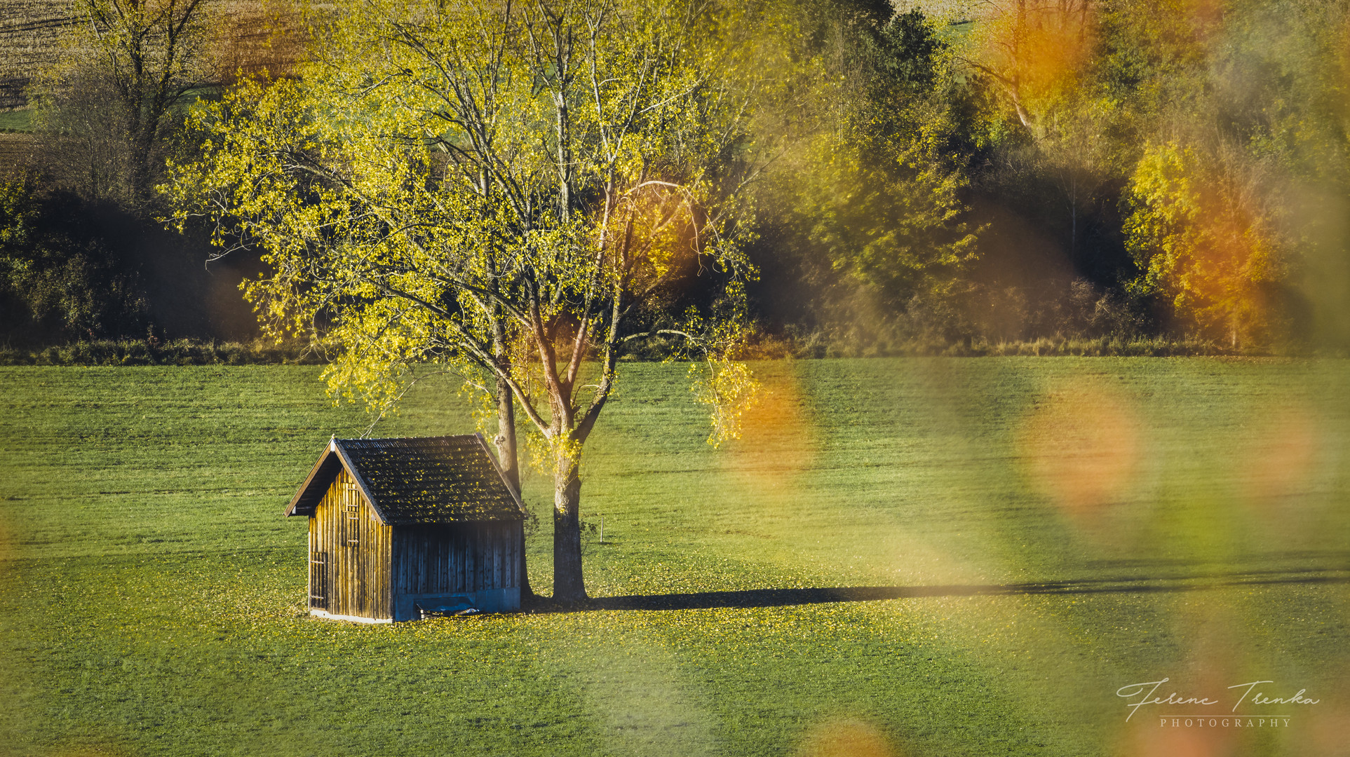 Kleine alte Hütte auf der Wiese