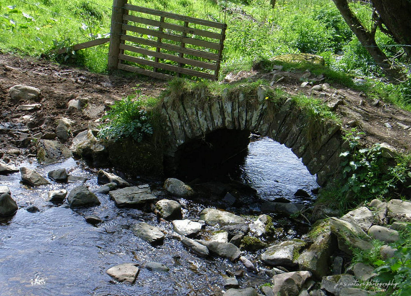 Kleine alte Steinbrücke