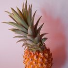 Kleine Ananas