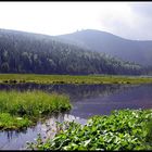 *Kleine Arbersee