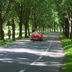 kleine Ausfahrt in der Lichtentaler Allee