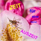 Kleine Auszeit ...