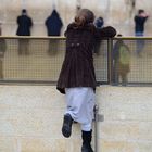 Kleine Beobachterin an der Klagemauer (Jerusalem)