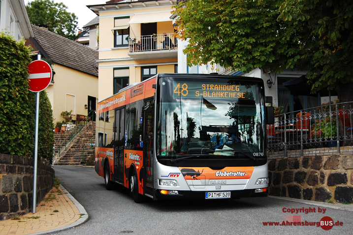 Kleine Bergziege im Treppenviertel Blankenese