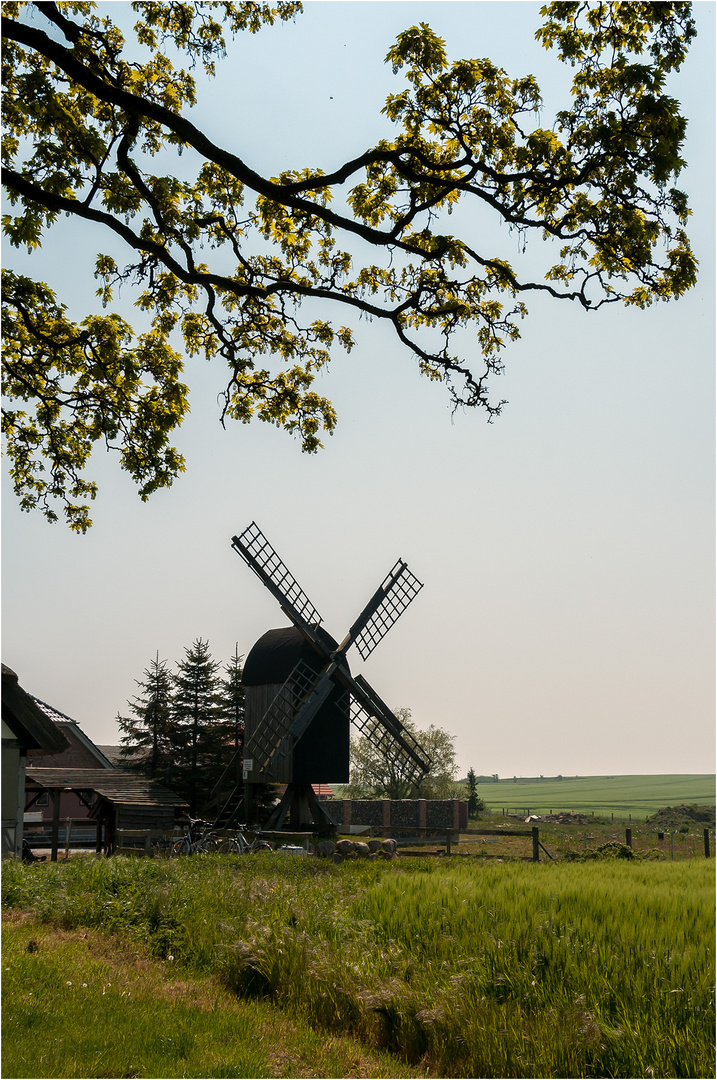 Kleine Bockwindmühle ...