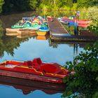 Kleine Bootstour gefällig?