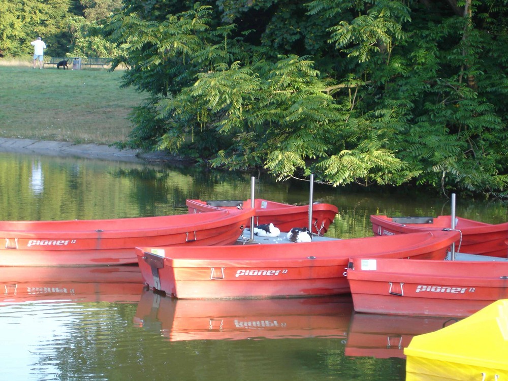 kleine bootstour gefällig ?