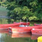 kleine bootstour gefällig ?