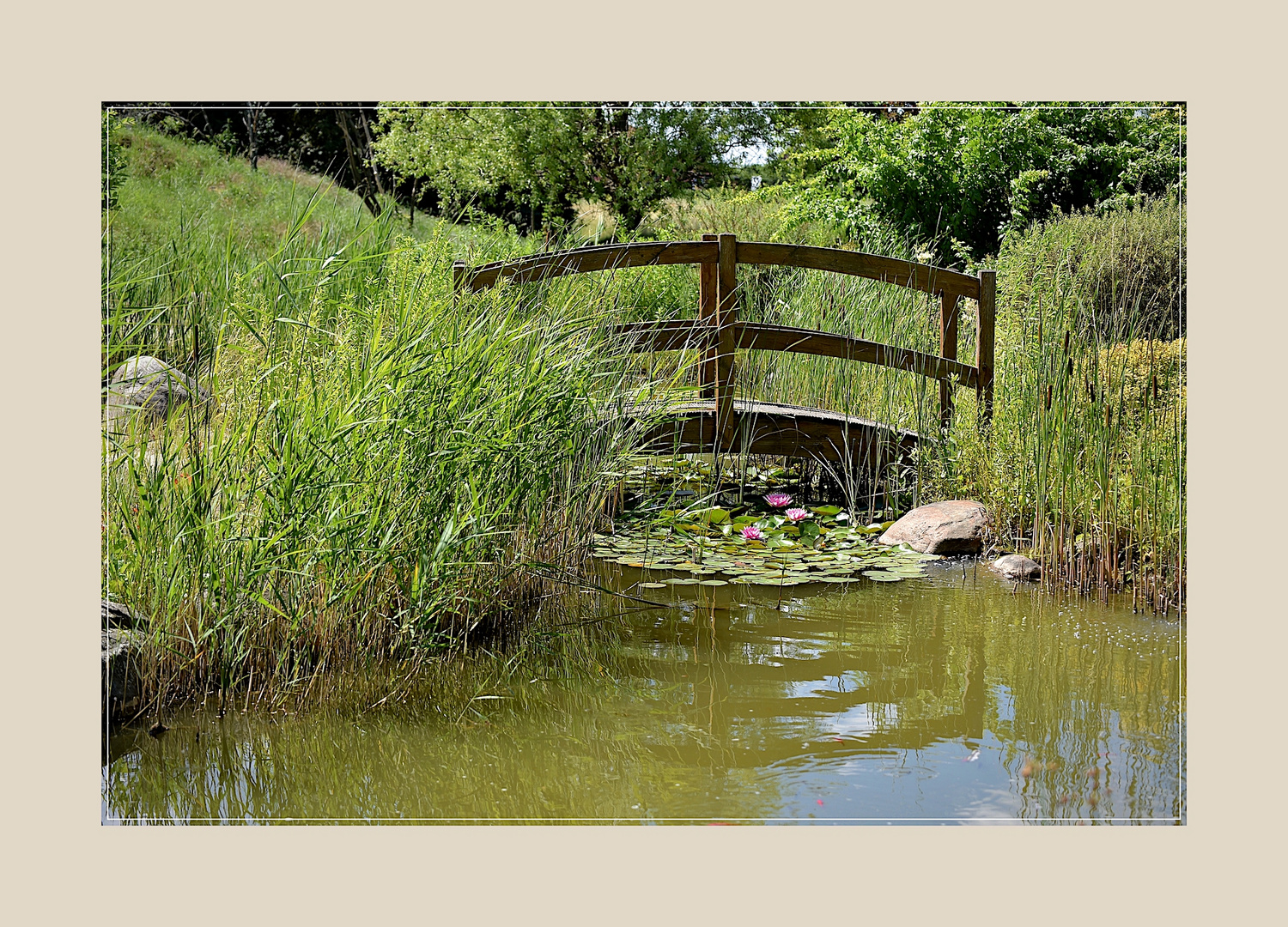 kleine Brücke am Teich Foto & Bild landschaft, garten