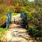 kleine Brücke im Babelsbergerpark