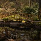 kleine Brücke im botanischen Garten Tübingen