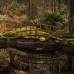 kleine Brücke im botanischen Garten Tübingen