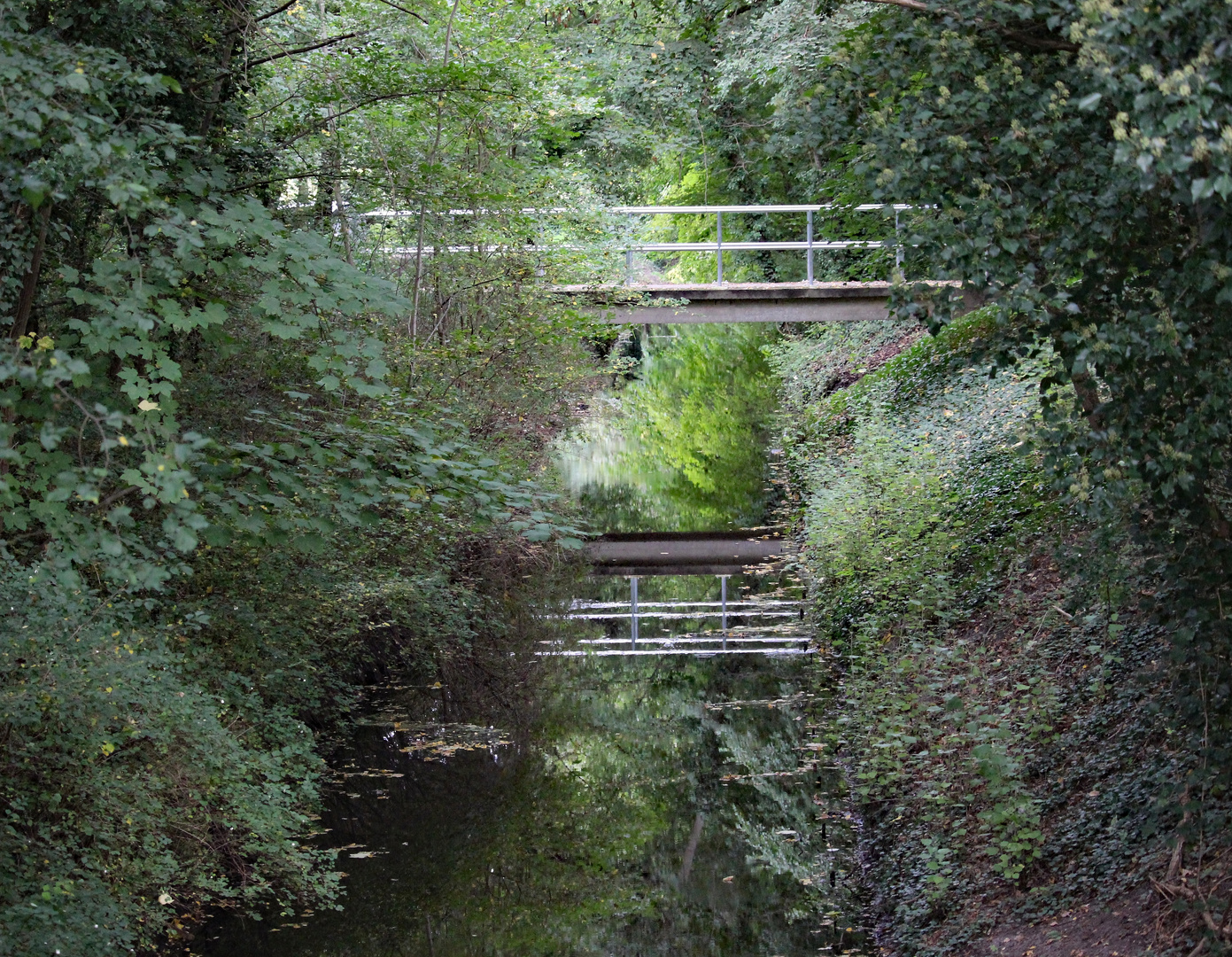 Kleine Brücke im Grünen