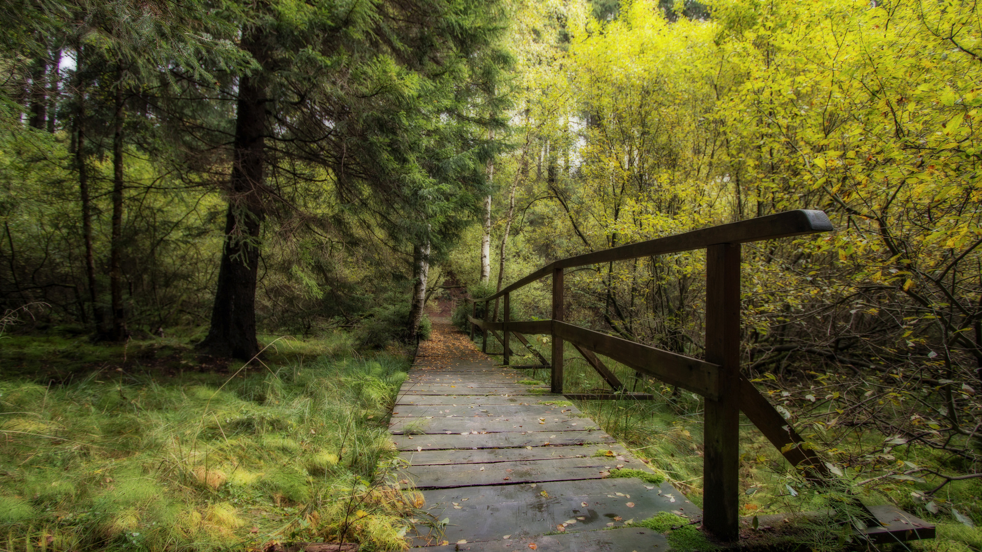 kleine Brücke im Herbstwald