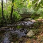 kleine Brücke im Ilsetal