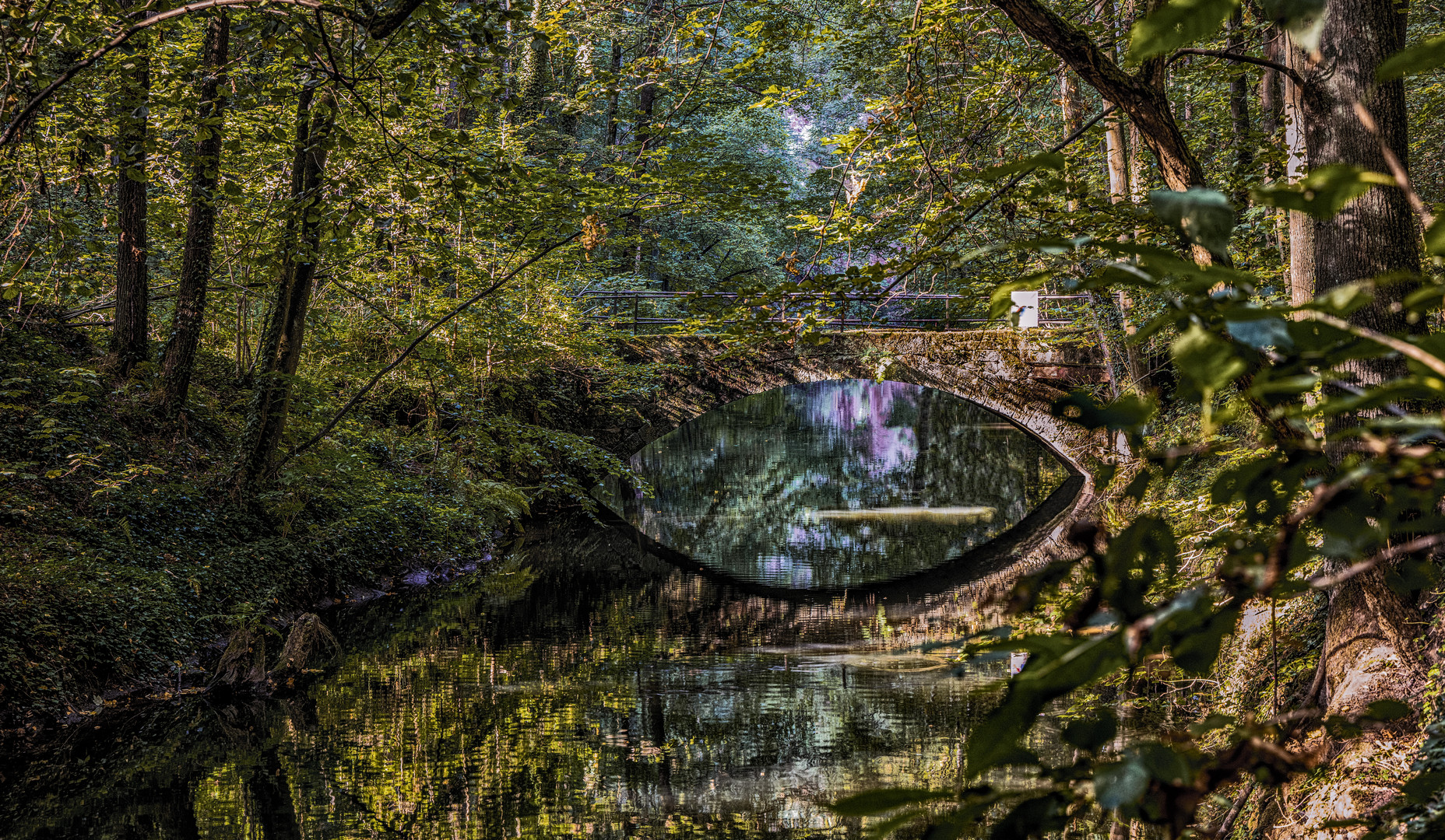 Kleine Brücke im Liebenthaler Grund