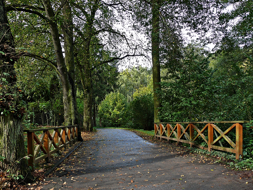 kleine Brücke im Limburger Stadtpark Foto & Bild landschaft, garten