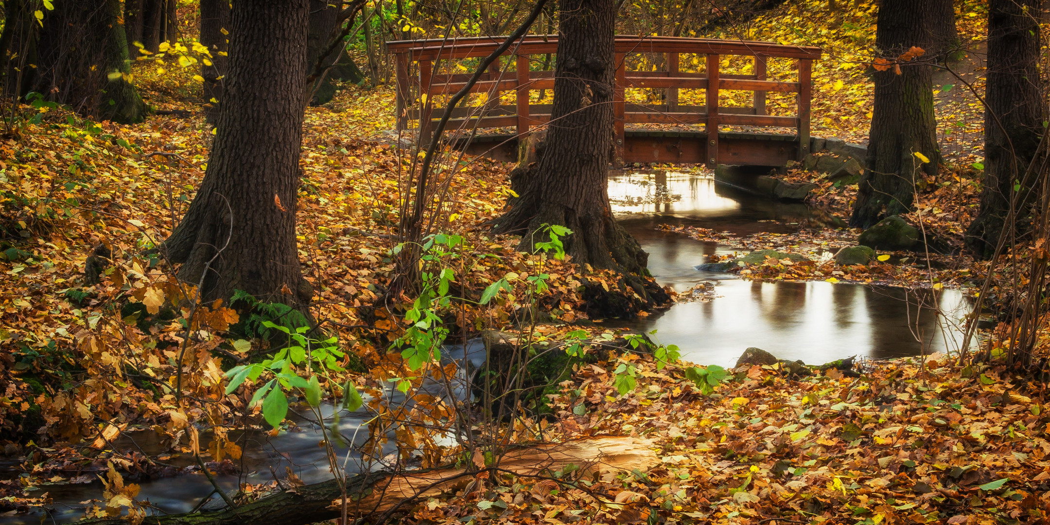 kleine Brücke im Wald