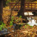 kleine Brücke im Wald