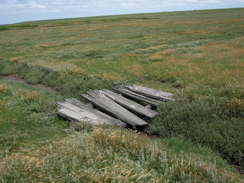 kleine Brücke in der Wiese