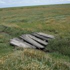 kleine Brücke in der Wiese