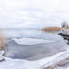 Kleine Bucht am Stettiner Haff bei Grambin