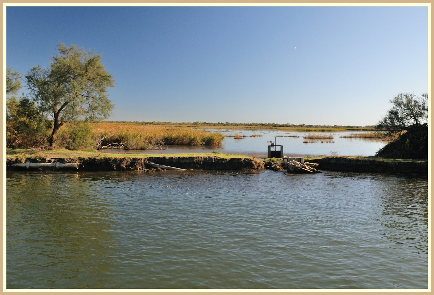 Kleine Camargue, Canal du Rhone à Sète