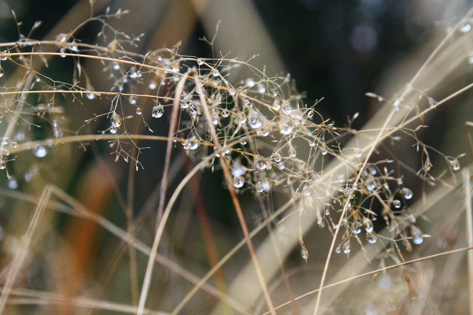 Kleine Diamanten