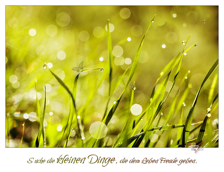 *** Kleine Dinge ... ***