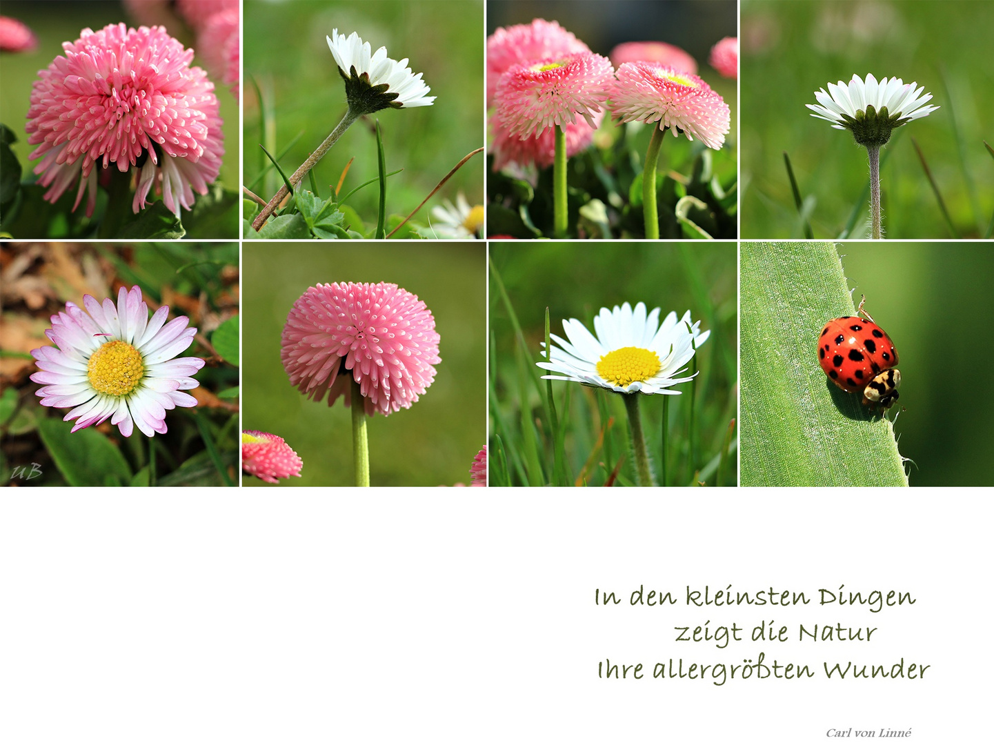 ... kleine Dinge ...