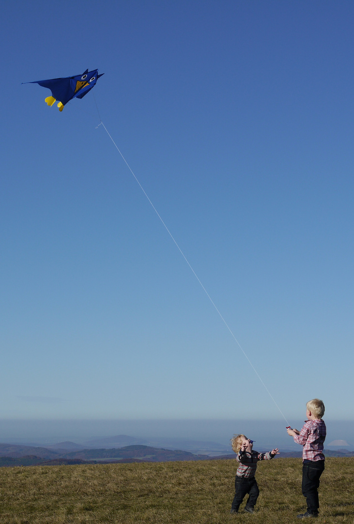 Kleine Drachenflieger