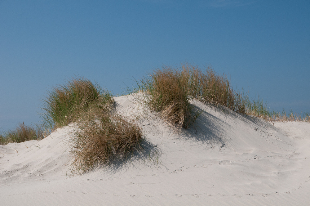 Kleine Düne