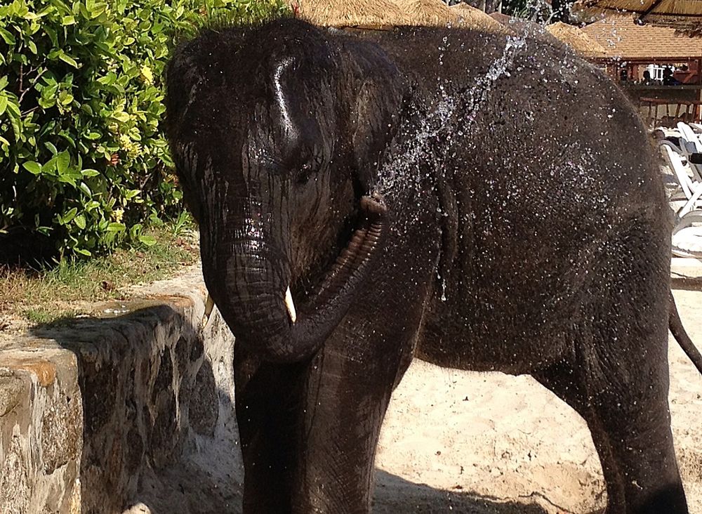 Kleine Dusche