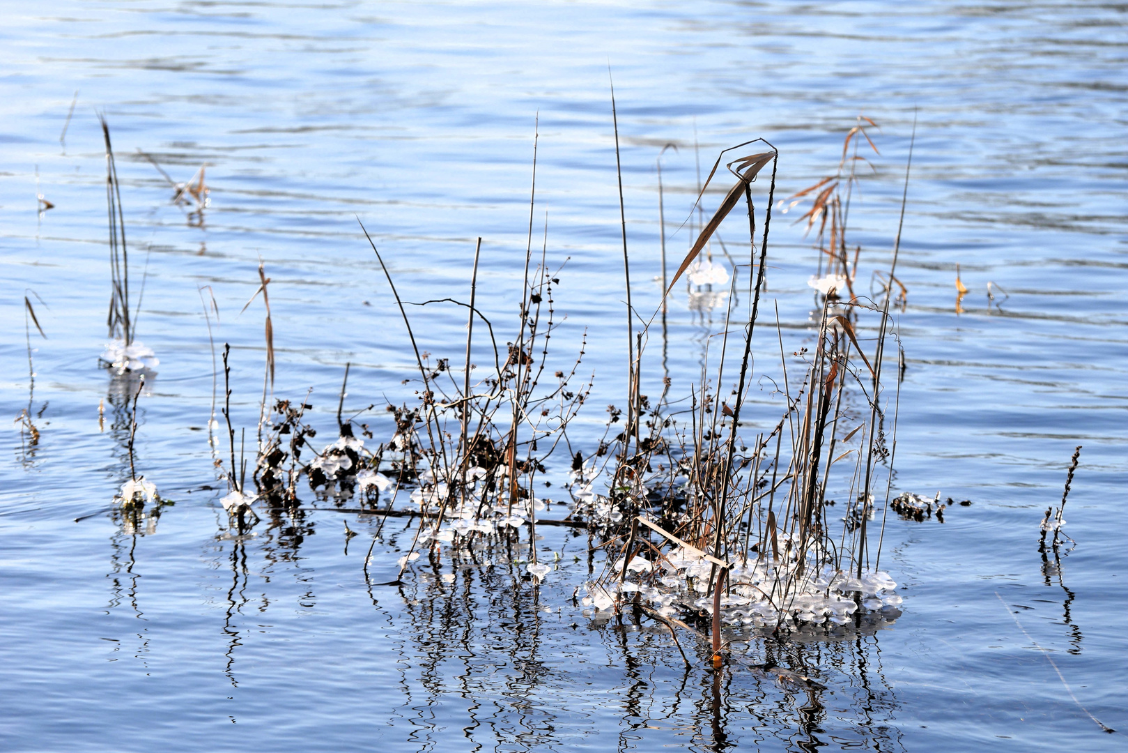 Kleine Eiskristalle im Wasser