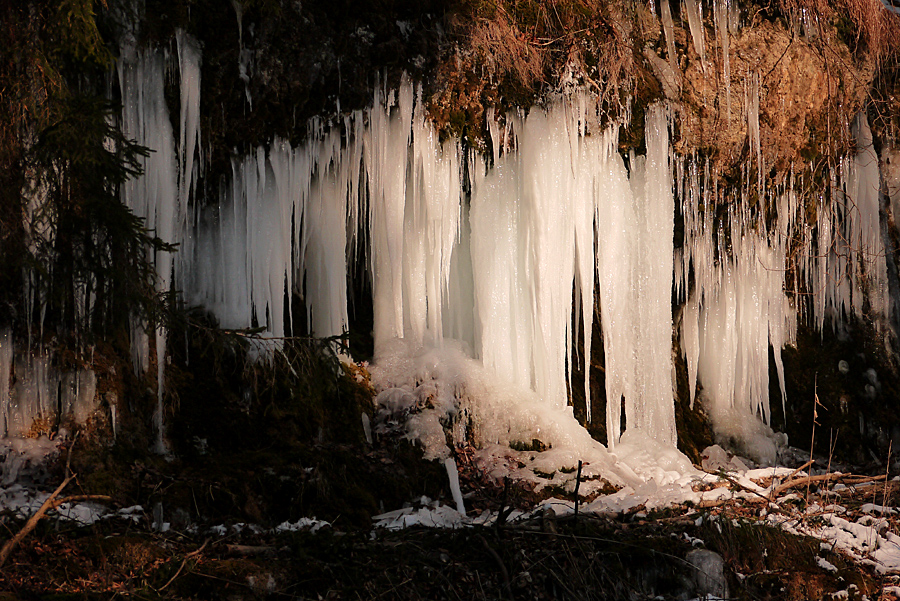 Kleine "Eiswelt" im Wildpark...