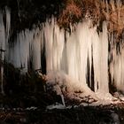 Kleine "Eiswelt" im Wildpark...