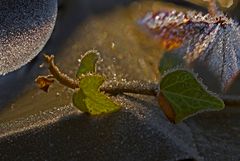 Kleine Eiszeit