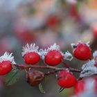 "Kleine Eiszeit"