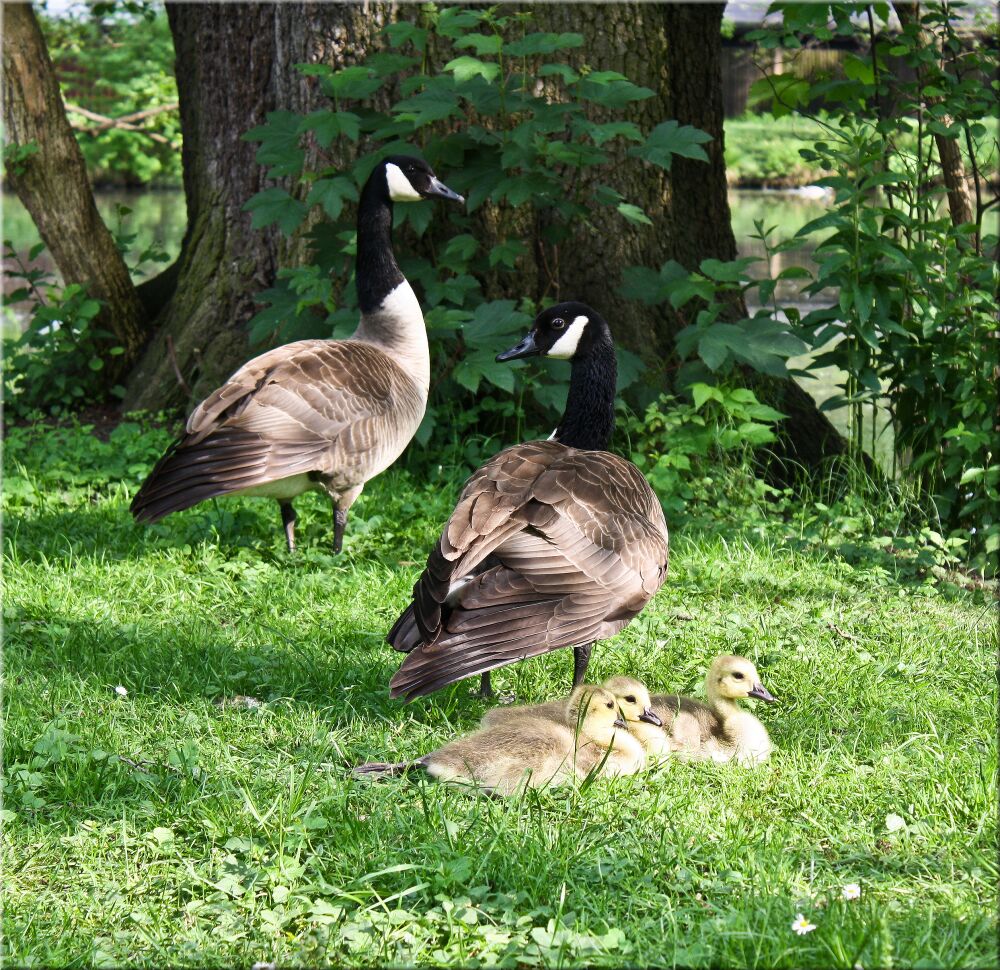 kleine Familie