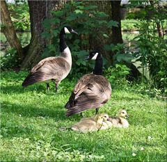 kleine Familie